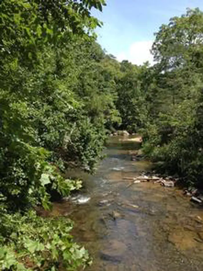 Raven Cliff Recreation Area photo 5