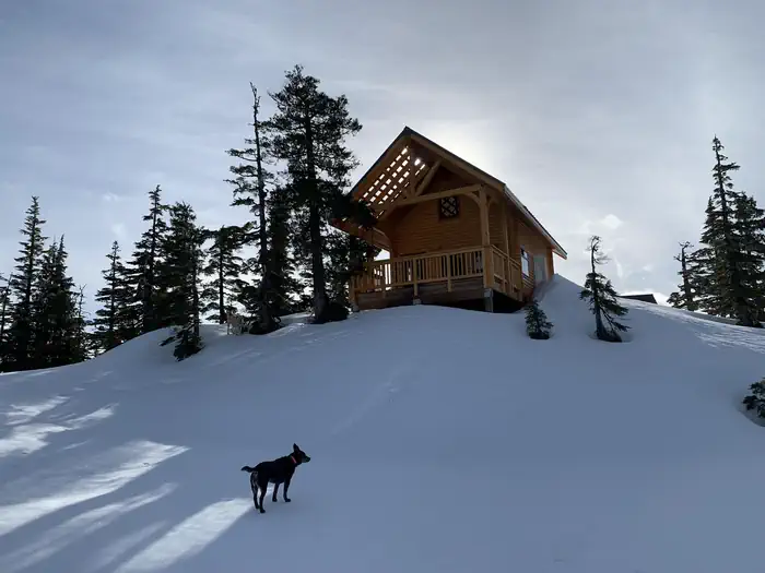 RAVENS ROOST CABIN photo 3