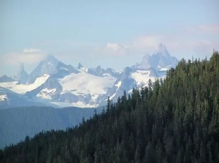 RAVENS ROOST CABIN photo 5