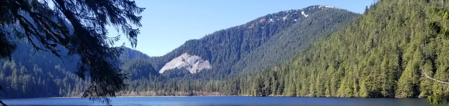 RED BAY LAKE CABIN photo