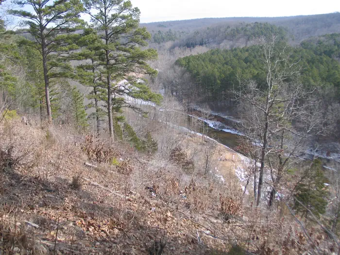 RED BLUFF CAMPGROUND photo 3