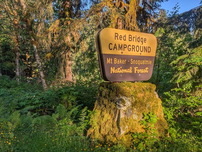 Red Bridge Campground photo 3