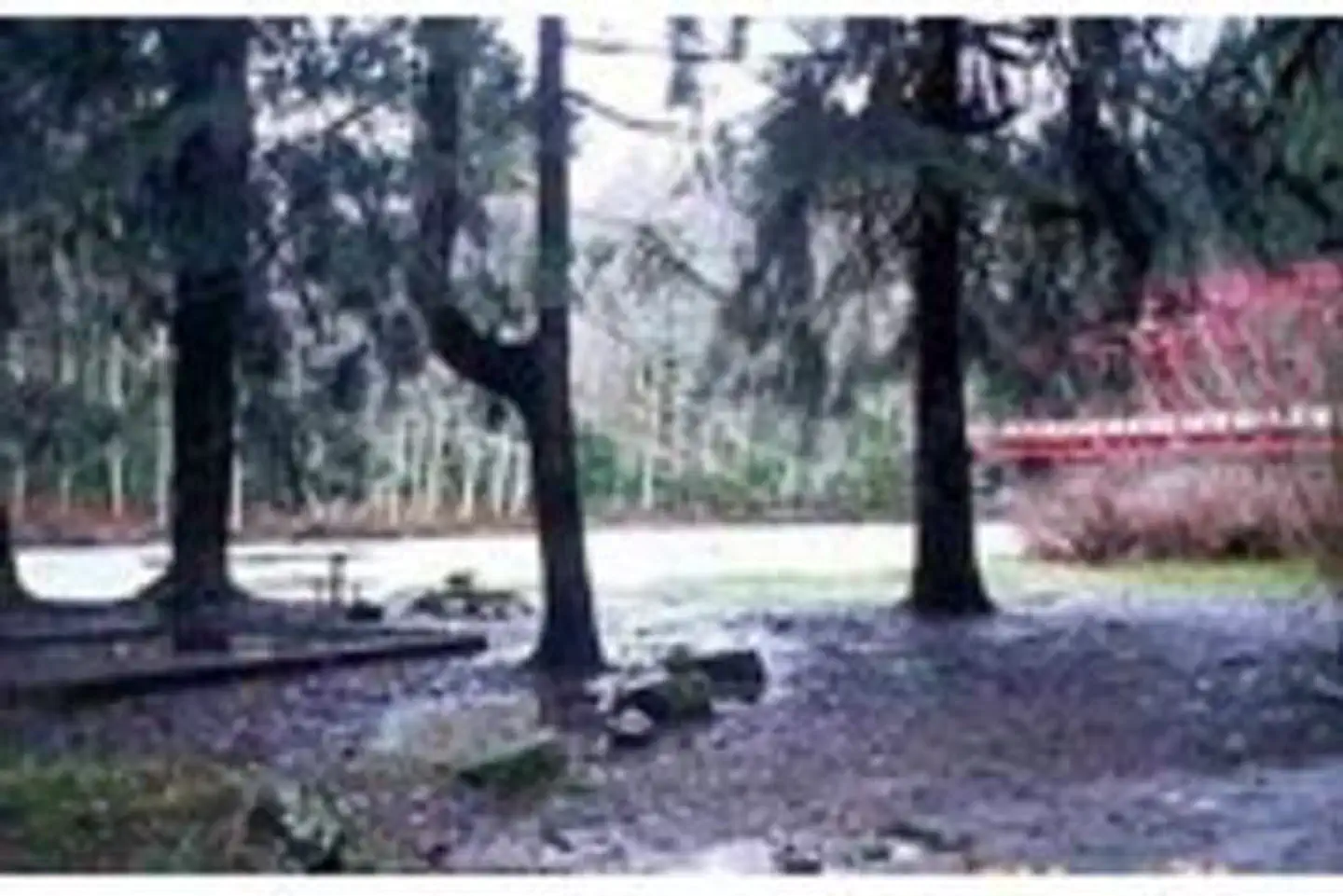 RED BRIDGE (PA) photo 3