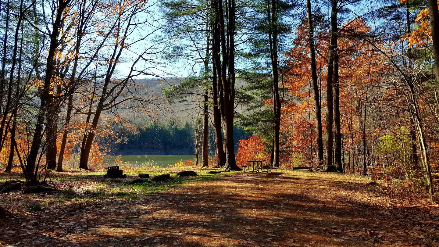 RED BRIDGE (PA) photo 4