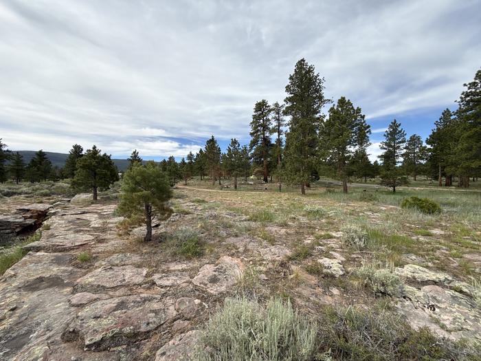Red Canyon (Ashley National Forest) photo 2