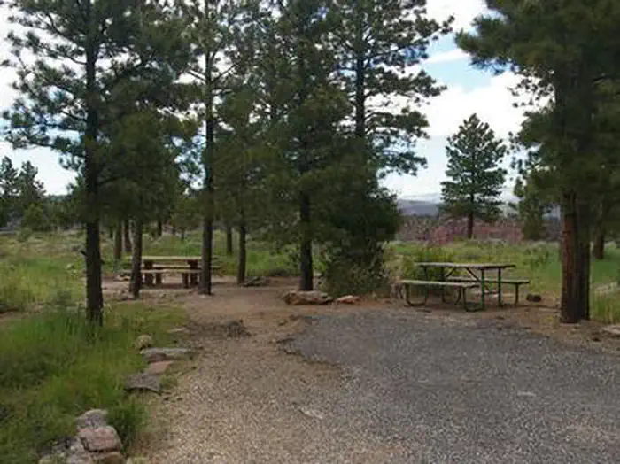Red Canyon (Ashley National Forest) photo 4