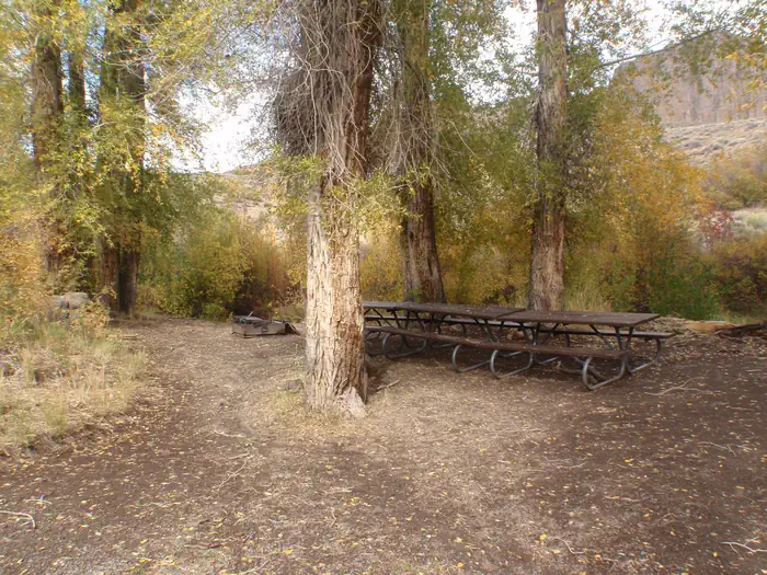 RED CREEK GROUP SITE photo 3