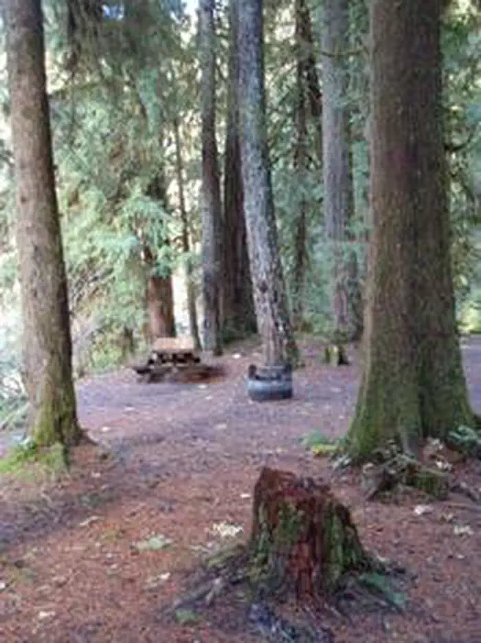 RED DIAMOND CAMPGROUND photo