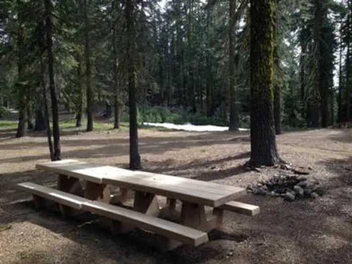 RED FIR FLAT GROUP CAMPGROUND photo 4