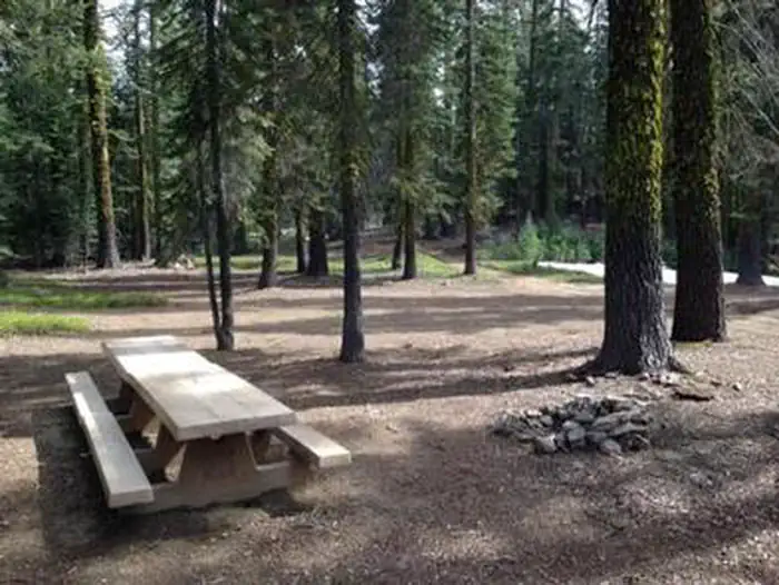 RED FIR FLAT GROUP CAMPGROUND photo 5