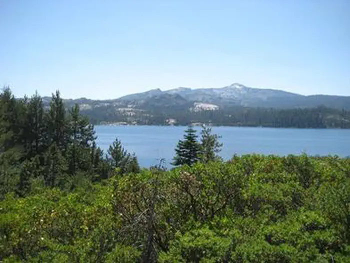 RED FIR photo 2