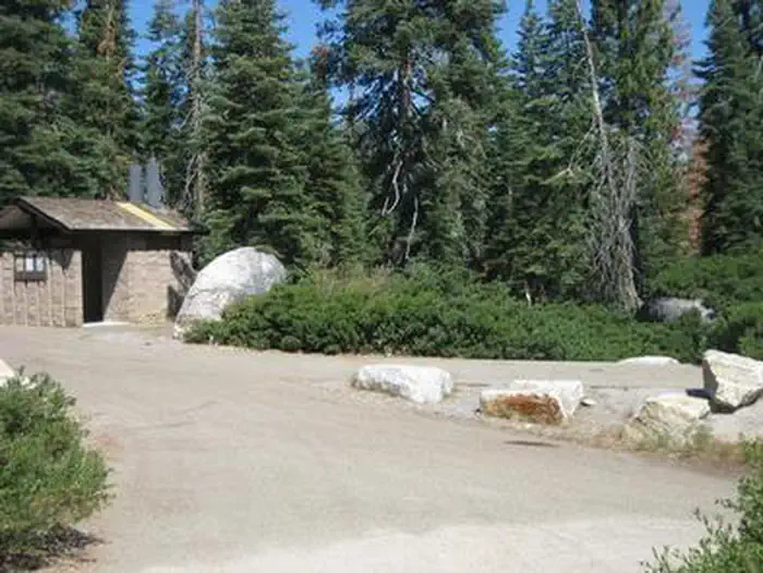 RED FIR photo 4