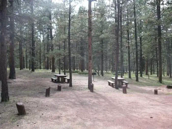 RED ROCKS GROUP CAMPGROUND photo 3
