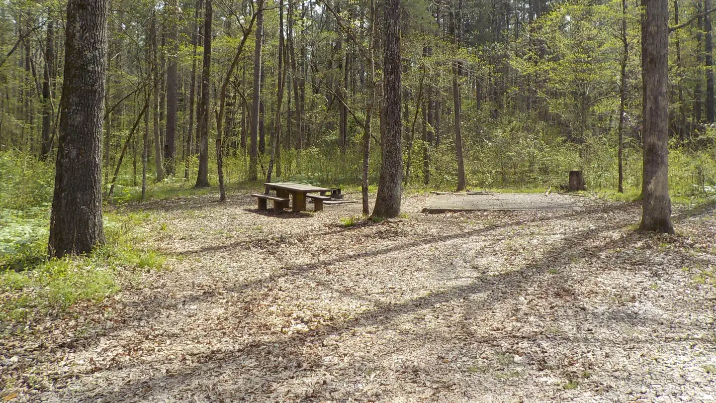 Redding Campground photo