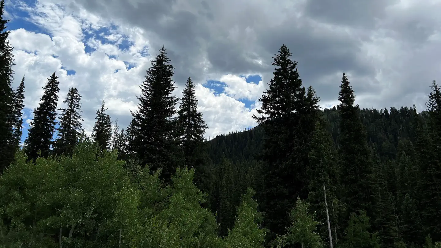 REDMAN CAMPGROUND photo