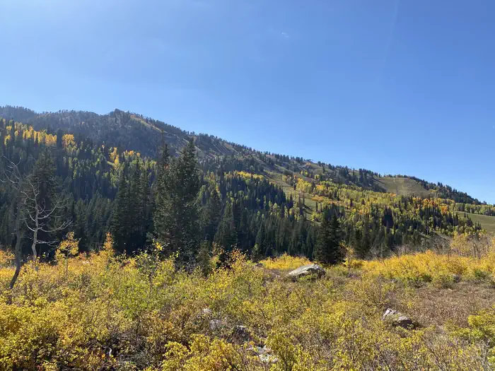 REDMAN CAMPGROUND photo 4