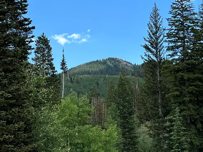 REDMAN CAMPGROUND photo 5