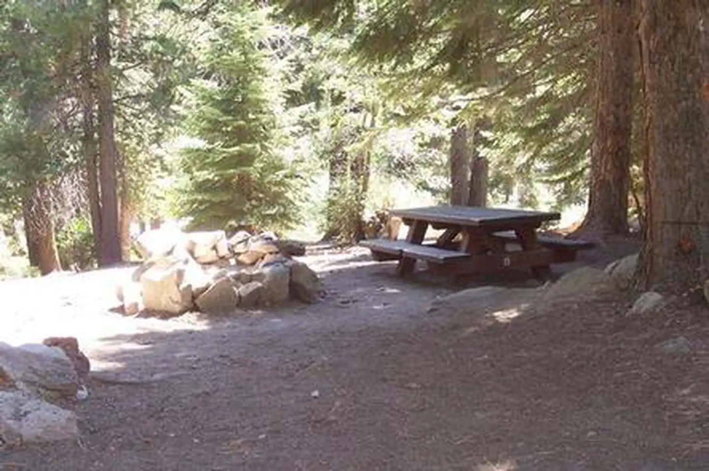 REDWOOD MEADOW photo