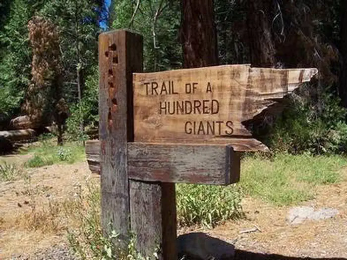 REDWOOD MEADOW photo 2