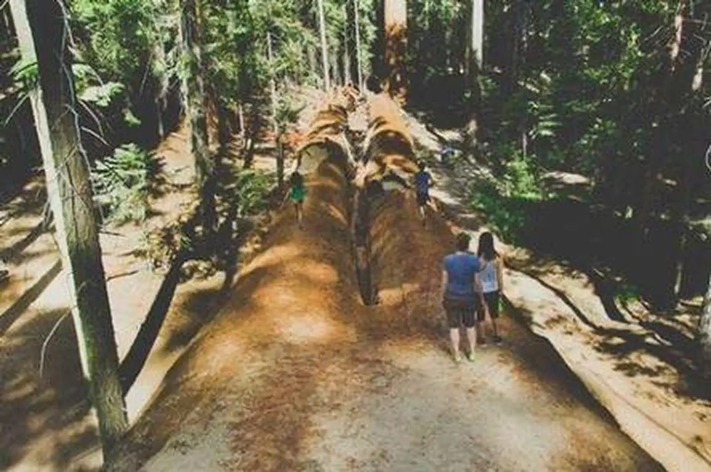 REDWOOD MEADOW photo 3