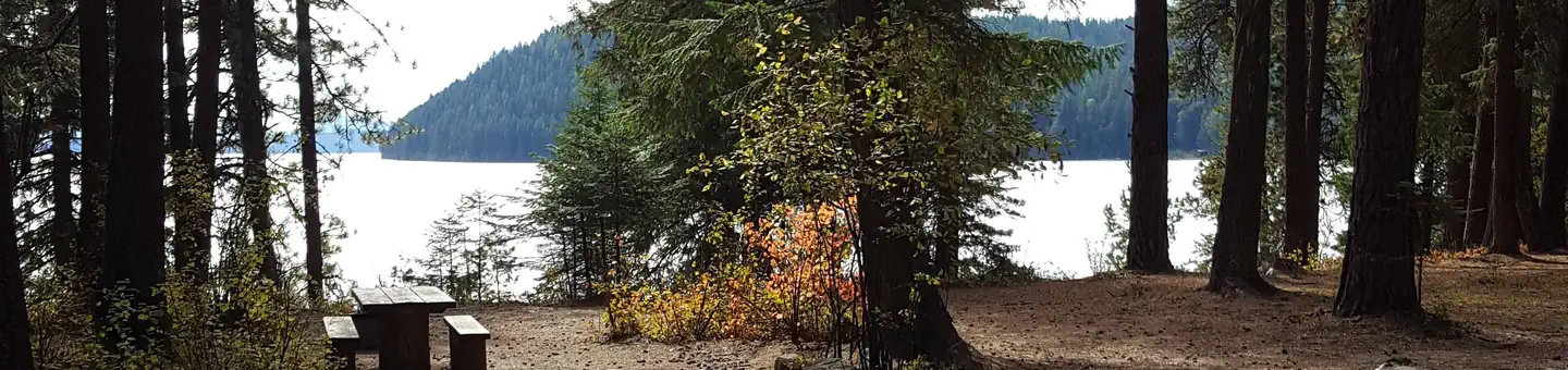 REEDER BAY photo
