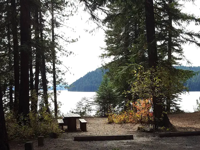 REEDER BAY photo 4