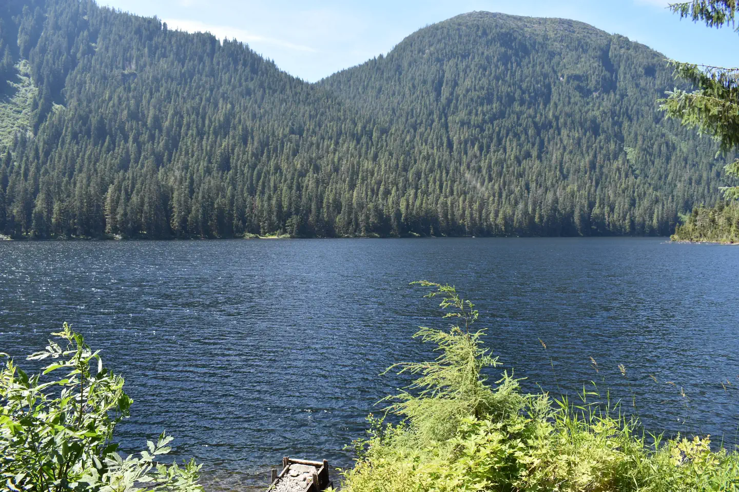 REFLECTION LAKE CABIN photo 4