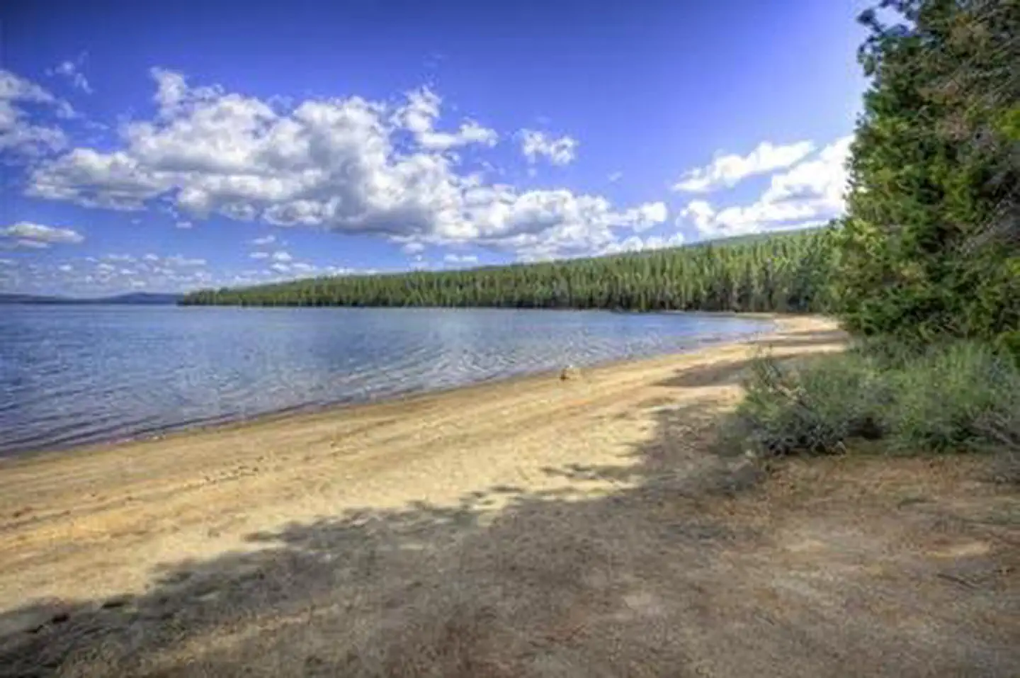 RESERVOIR CAMPGROUND photo 4