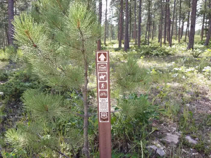REUTER CAMPGROUND photo 3