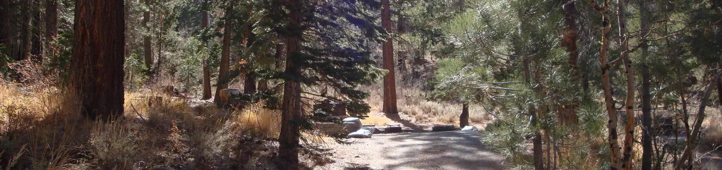 REVERSED CREEK CAMPGROUND photo