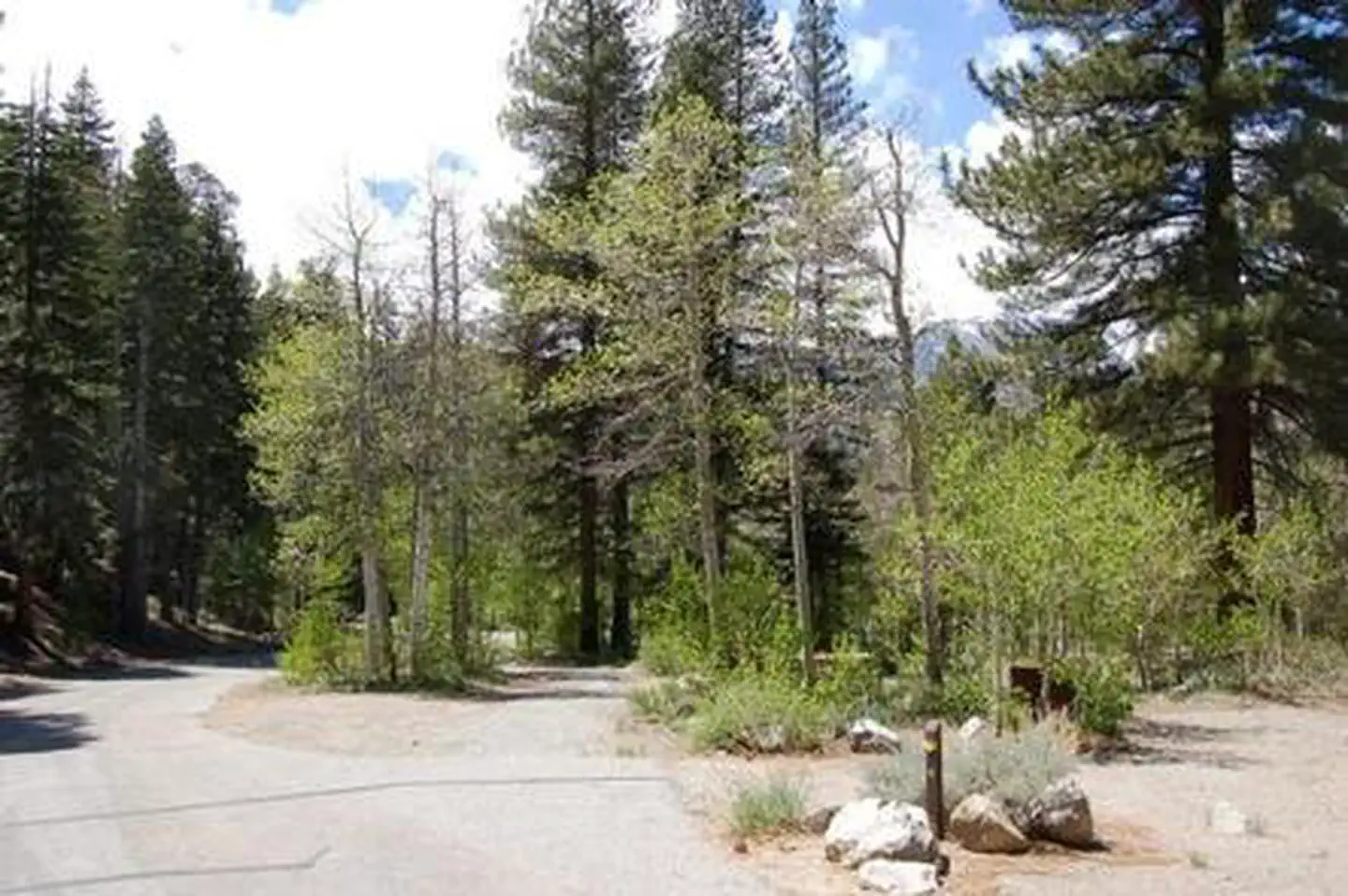 REVERSED CREEK CAMPGROUND photo 2