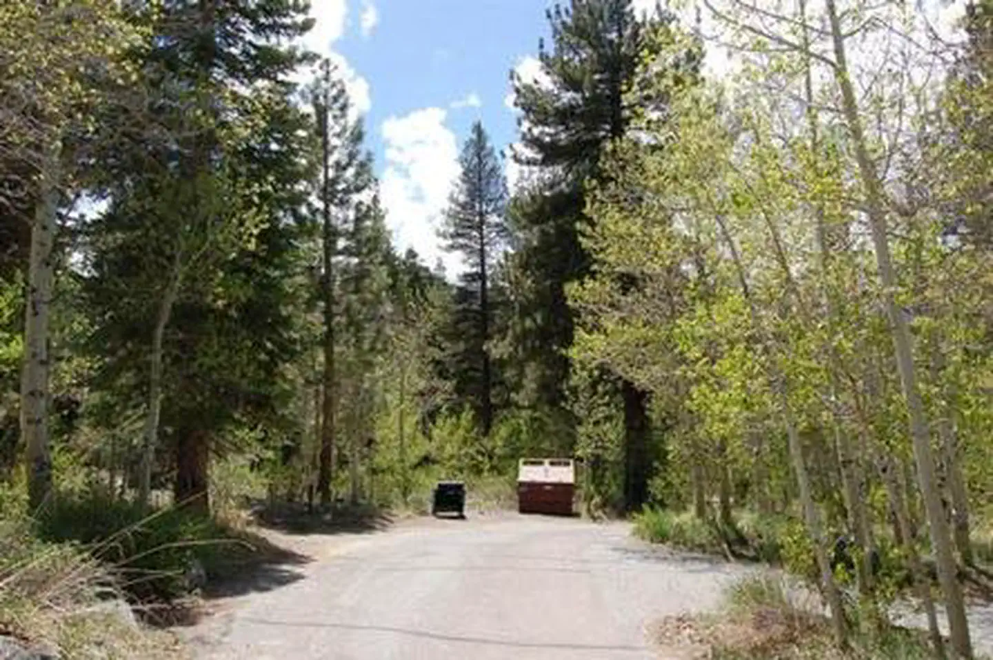 REVERSED CREEK CAMPGROUND photo 3