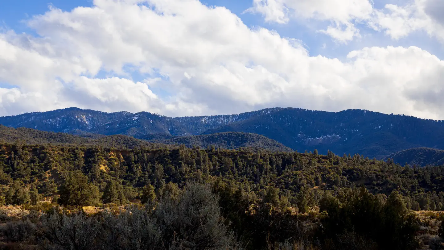 REYES CREEK CAMPGROUND photo