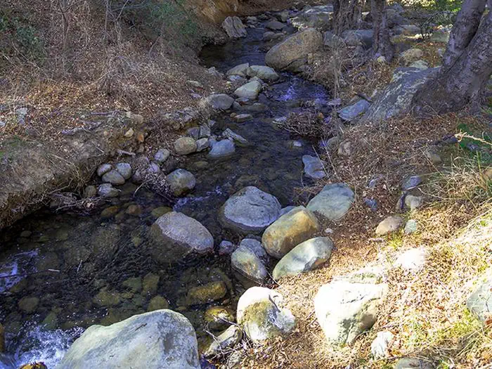 REYES CREEK CAMPGROUND photo 3