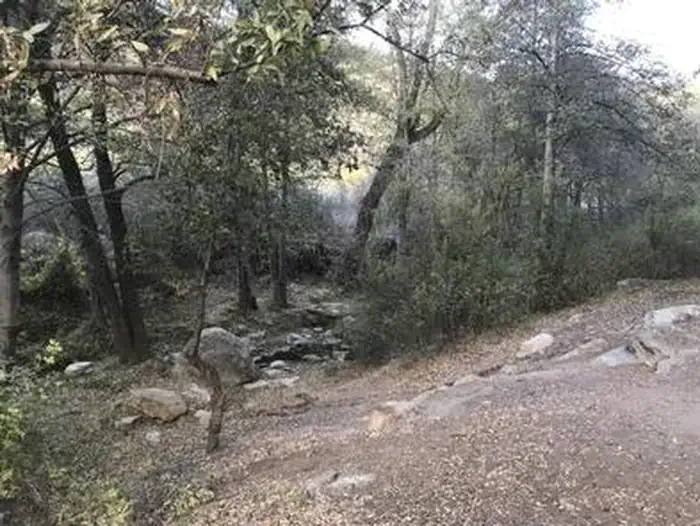 REYES CREEK CAMPGROUND photo 5