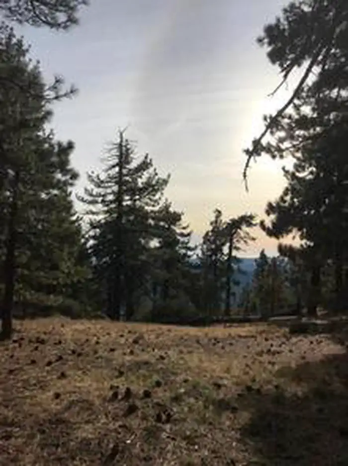 REYES PEAK CAMPGROUND photo 2