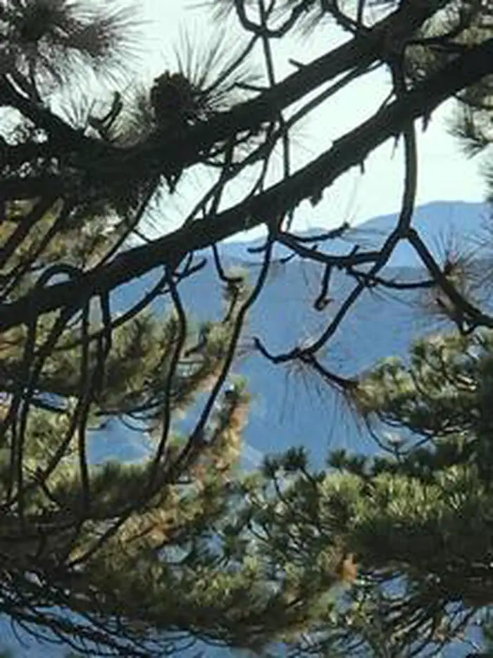REYES PEAK CAMPGROUND photo 3