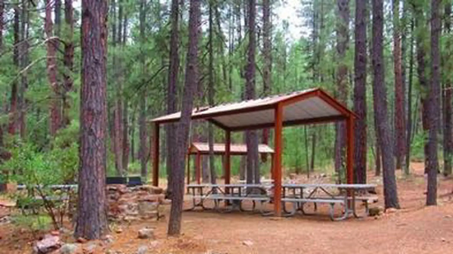 REYNOLDS CREEK GROUP CAMPGROUND photo