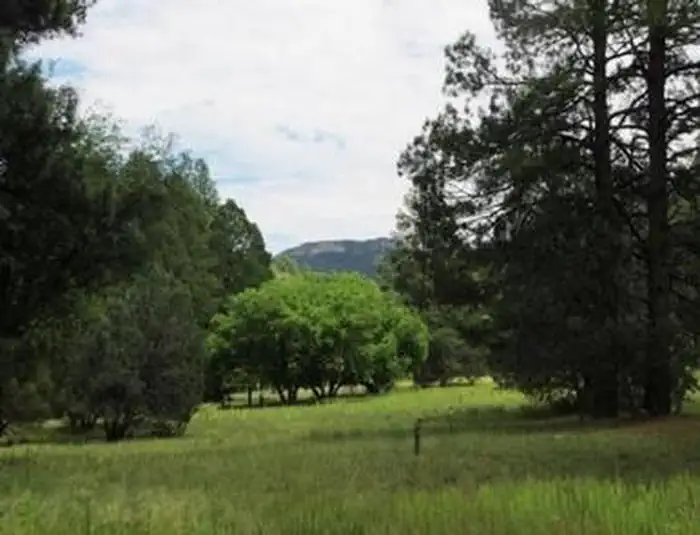 REYNOLDS CREEK GROUP CAMPGROUND photo 3