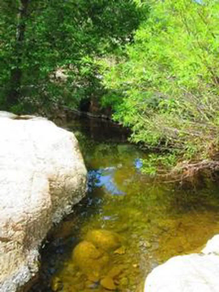 REYNOLDS CREEK GROUP CAMPGROUND photo 4