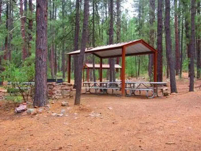 REYNOLDS CREEK GROUP CAMPGROUND photo 5