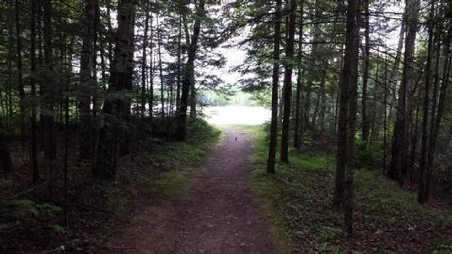 RICHARDSON LAKE CAMPGROUND photo