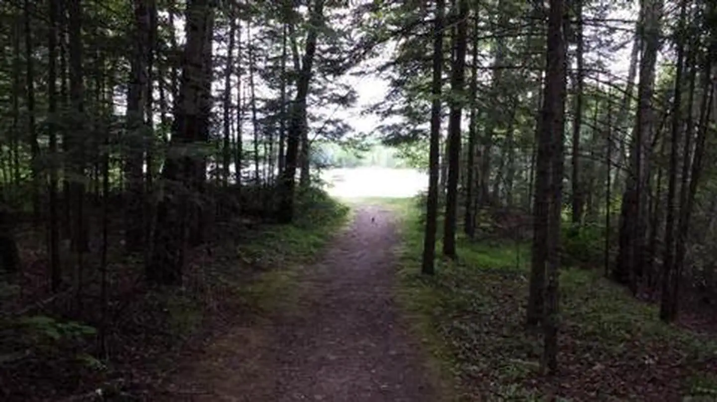 RICHARDSON LAKE CAMPGROUND photo 2