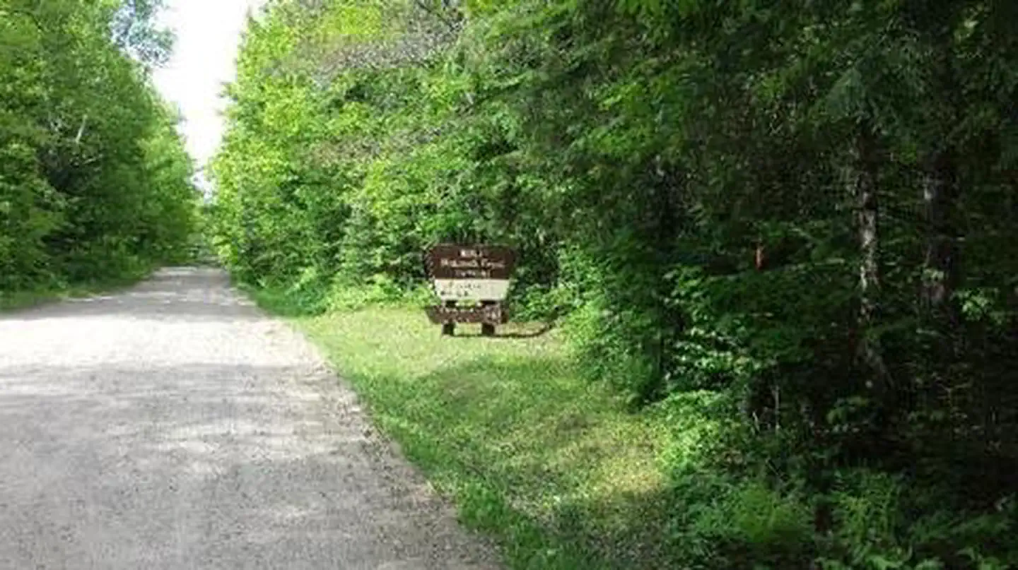 RICHARDSON LAKE CAMPGROUND photo 3