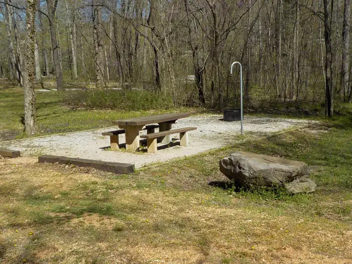 Richland Creek Campground photo 3