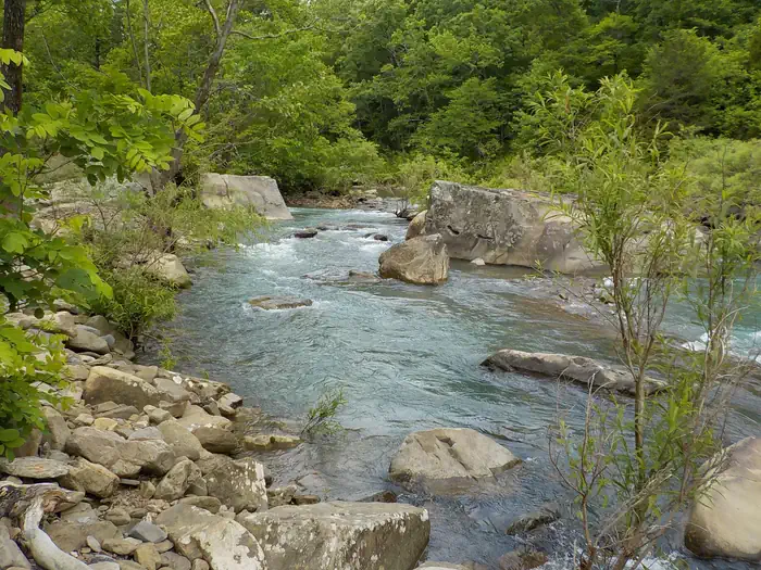 Richland Creek Campground photo 4