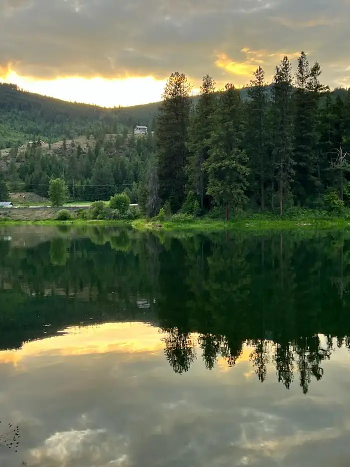 RILEY CREEK photo 4