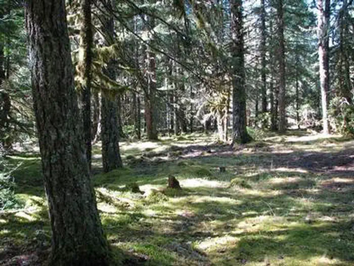 RILEY HORSE CAMPGROUND photo 5