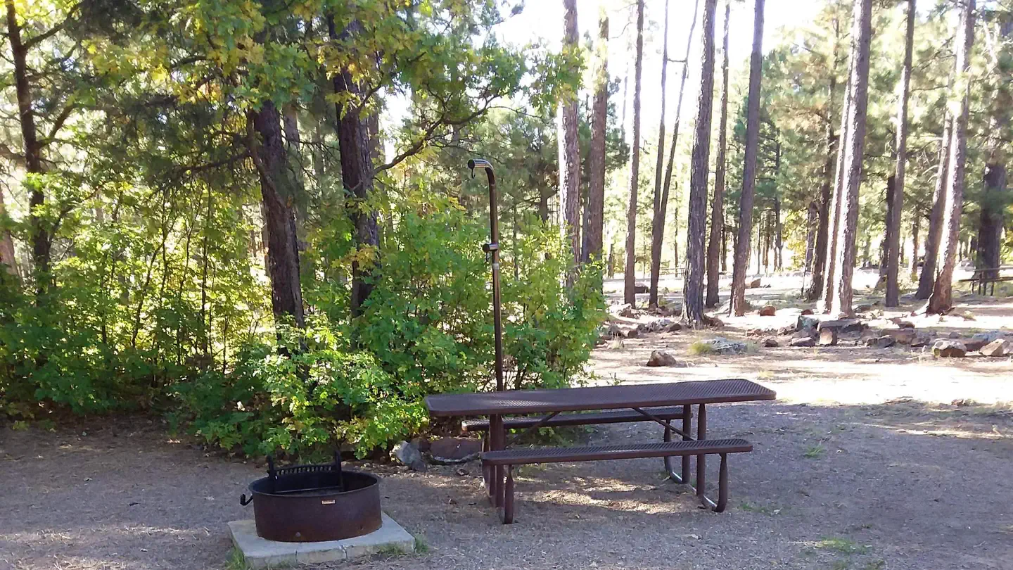 Rim Campground photo
