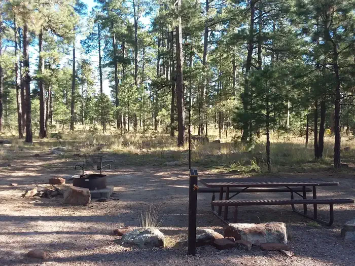 Rim Campground photo 2
